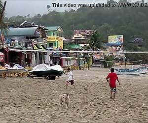 Buck wild shows plajă albă puerto galera philippines